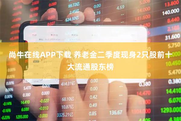 尚牛在线APP下载 养老金二季度现身2只股前十大流通股东榜