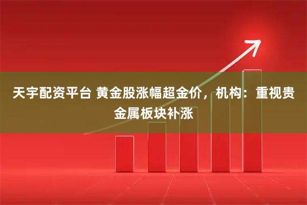 天宇配资平台 黄金股涨幅超金价，机构：重视贵金属板块补涨